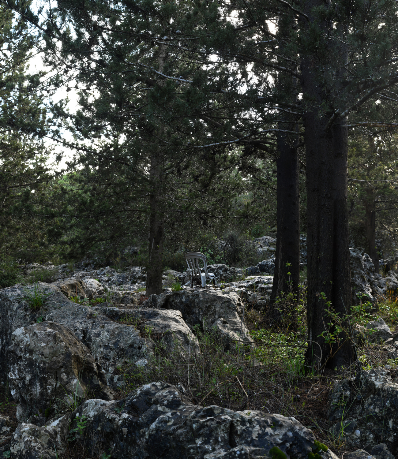 SELF SECLUSION CHAIRS